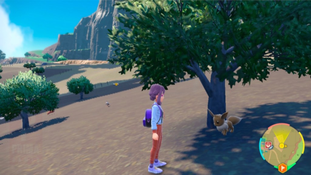 Eevee in Pokemon Scarlet and Violet