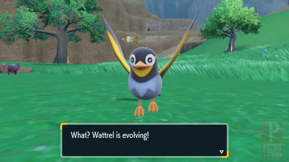 How to Evolve Wattrel into Kilowattrel in Pokemon Scarlet and Violet