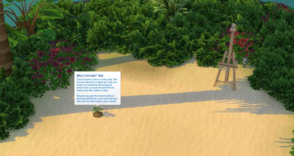 Coconut Tree Sims 4 Island Living