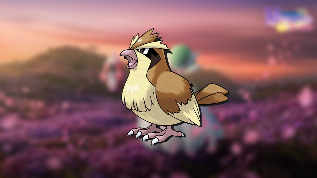 Shiny Pidgey Spotlight