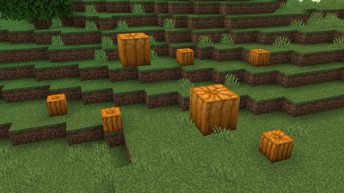 Where to Find Pumpkins in Minecraft