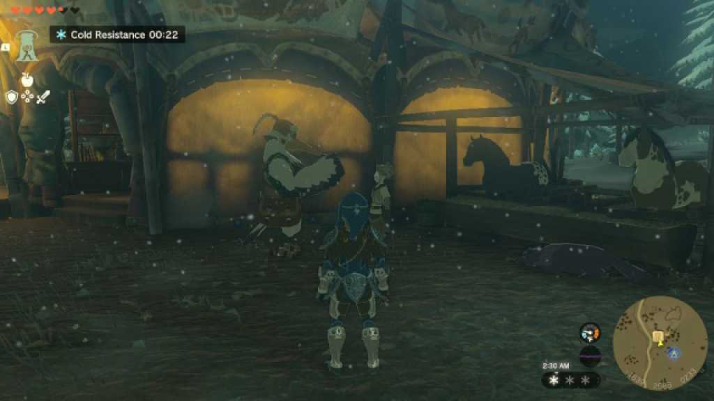 TOTK Penn Zelda Golden Horse Quest at Snowfield