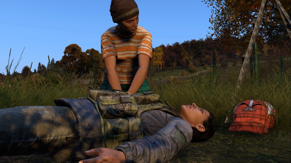 DayZ Injury and Illness