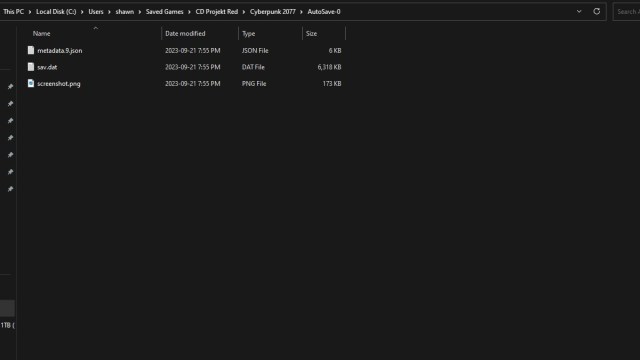 Cyberpunk 2077 Save Folder Contents