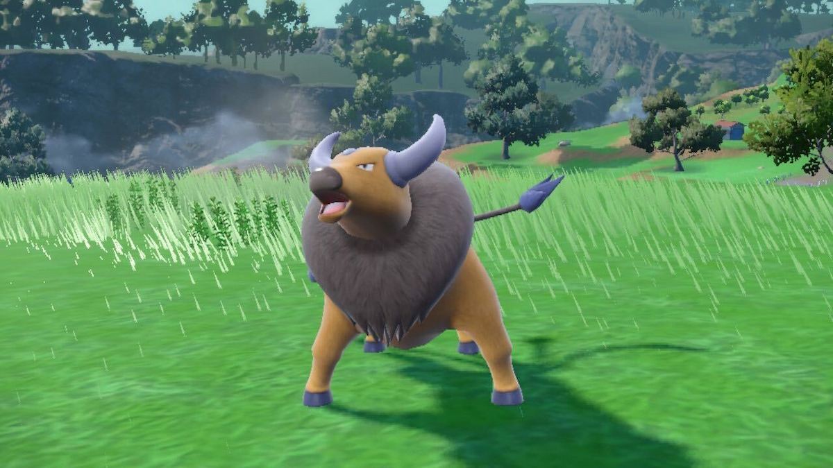 Pokemon Scarlet and Violet Kantonian Tauros Featured