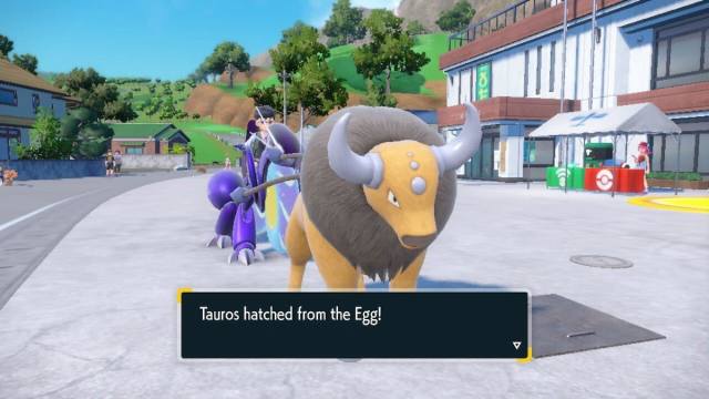 Pokemon Scarlet and Violet Kantonian Tauros Hatched