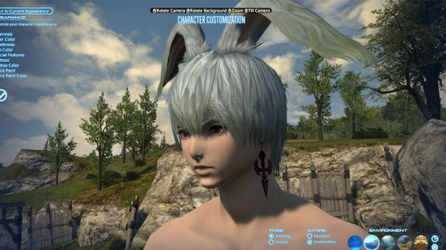 FFXIV 6.5 Viera Hairstyles Hair 3