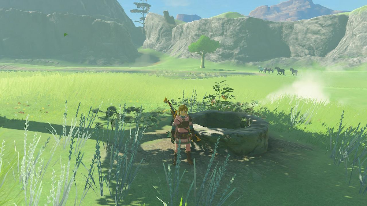 Link standing by a well in Tears of the Kingdom