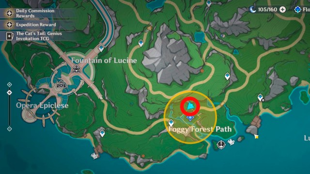 Genshin Impact Foggy Forest Path Puzzle North