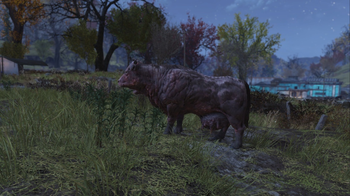 Fallout 76 Brahmin