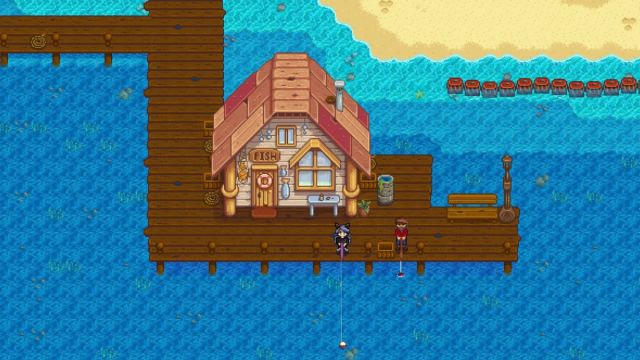 Stardew Valley Beach