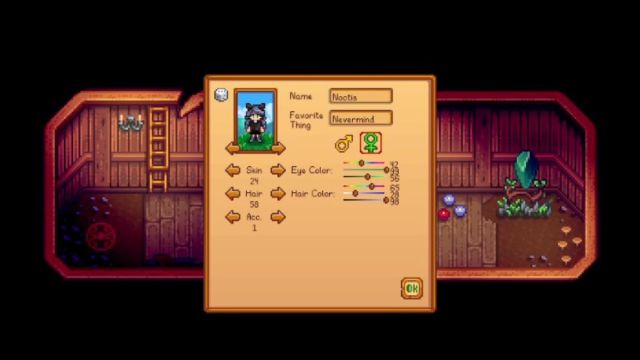 Stardew Valley The Shrine of Illusion Menu