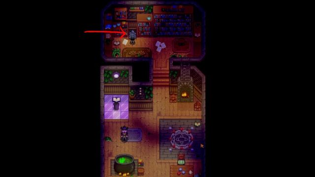 Stardew Valley The Wizard's Basement