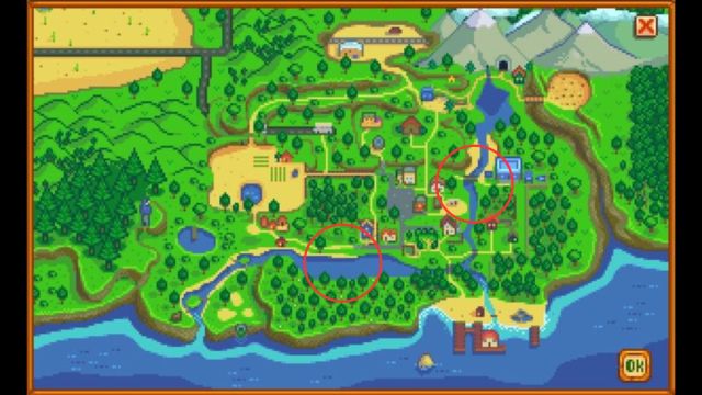 Stardew Valley Bream Fishing Areas