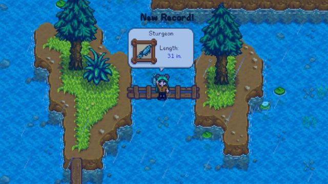 Stardew Valley Catch Sturgeon