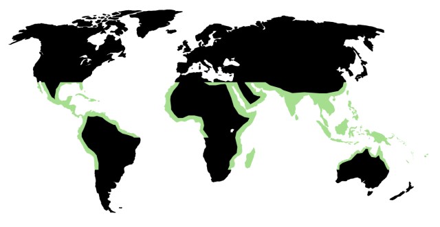 A world map with locations along the equator highlighted in green to indicate where Corsola can be found in Pokemon GO.