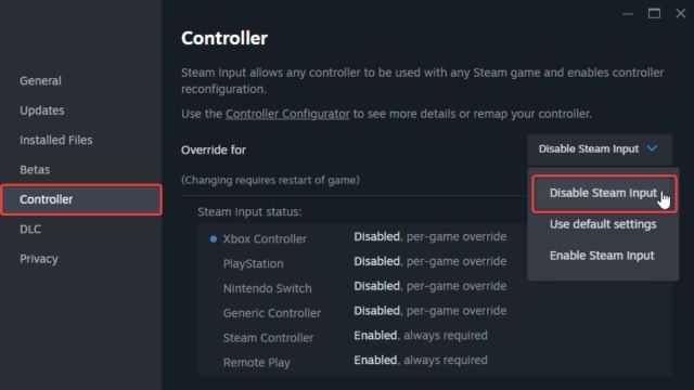 Disable Steam Input