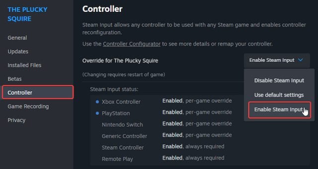 The Plucky Squire Enable Steam Input