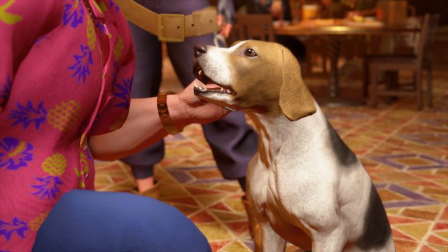 A Street Fighter 6 World Tour Mode screenshot of the "stray" dog, Anton.